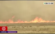 Puno: Incendio forestal arrasó 6 mil hectáreas de pastizales - Noticias de incendios
