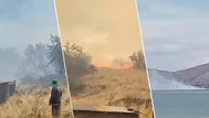 Puno: Incendio forestal destruyó tres casas