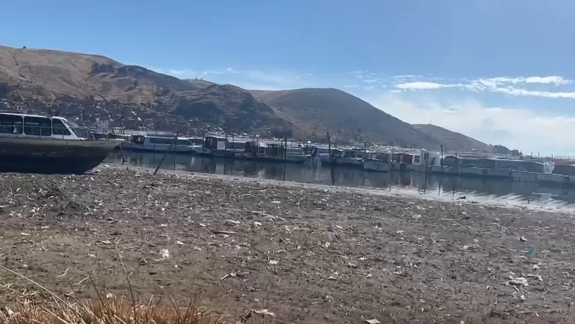Lago Titicaca: Continúa descenso de agua y afecta hectáreas de totorales y la pesca