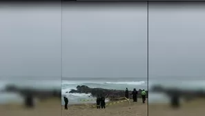 Ocurrió en la playa Punta Rocas. Canal N