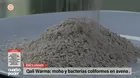 Qali Warma: Reportan moho y bacterias coliformes en avena