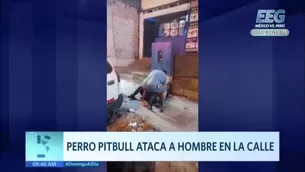 Reportaje de Domingo al Día