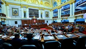 Foto: Congreso - Video: Canal N