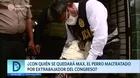 ¿Con quién se quedará Max, el perro maltratado por extrabajador del Congreso?