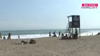 La actividad contó con la participación de estudiantes, voluntarios y promotores ambientales juveniles. / Video: Canal N