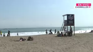 La actividad contó con la participación de estudiantes, voluntarios y promotores ambientales juveniles. / Video: Canal N