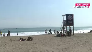 La actividad contó con la participación de estudiantes, voluntarios y promotores ambientales juveniles. / Video: Canal N