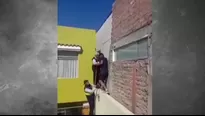 Con una cuerda, los agentes lograron sacar a la mascota / Video: Canal N