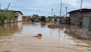 Río Zarumilla desobordado afecta a más de 65 viviendas en Tumbes. Foto y video: Canal N