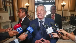 Rospigliosi: “No generemos más inestabilidad”. Foto: Andina. Video: Canal N