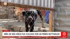 Rottweiler ataca a niña de 6 años en Lurigancho-Chosica