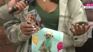 Municipalidad de San Isidro investiga muerte de perros por presunto veneno. / Video: Canal N