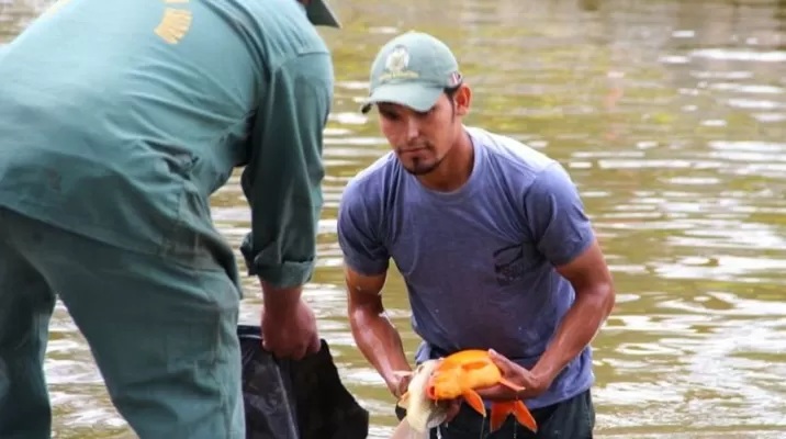 San Isidro confirma que peces de El Olivar murieron envenenados. Foto: Municipalidad de San Isidro. San Isidro confirma que peces de El Olivar murieron envenenados. Foto: Municipalidad de San Isidro.