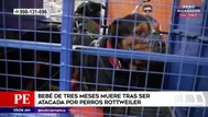 San Juan de Lurigancho: Bebé de tres meses murió tras ser atacada por perros rottweiler