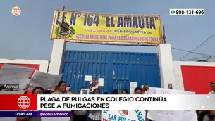 Plaga de pulgas en colegio de San Juan de Lurigancho. Foto y video: América Noticias