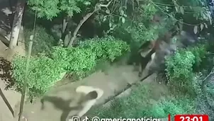 Foto y video: América Noticias