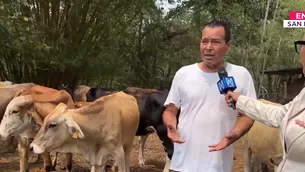 Por si fuera poco, los incendios forestales han contribuido a la degradación del medio ambiente. / Video: Canal N