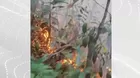 San Martín: Incendio forestal arrasa bosques protegidos