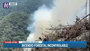 Incendio forestal en San Martín. Video: Canal N