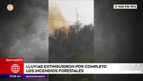 Lluvias apagaron incendios forestales en San Martín. Foto y video: América Noticias