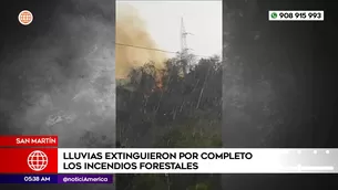 Lluvias apagaron incendios forestales en San Martín. Foto y video: América Noticias