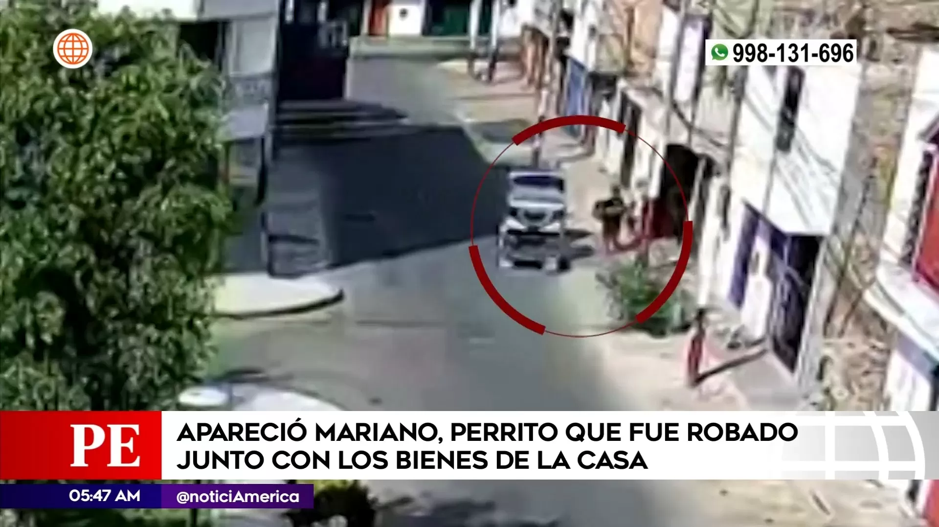 Hallaron a mascota robada. Foto: América Noticias