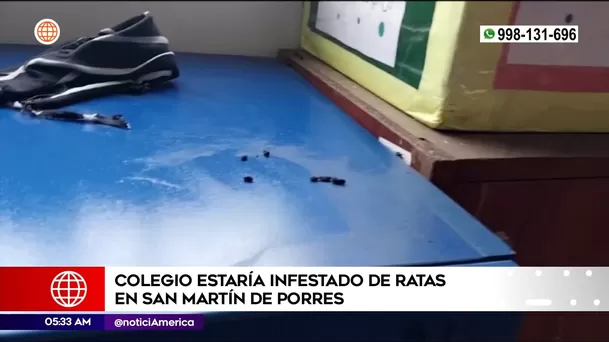 Colegio infestado de ratas en San Martín de Porres. Foto: América Noticias Colegio infestado de ratas en San Martín de Porres. Foto: América Noticias