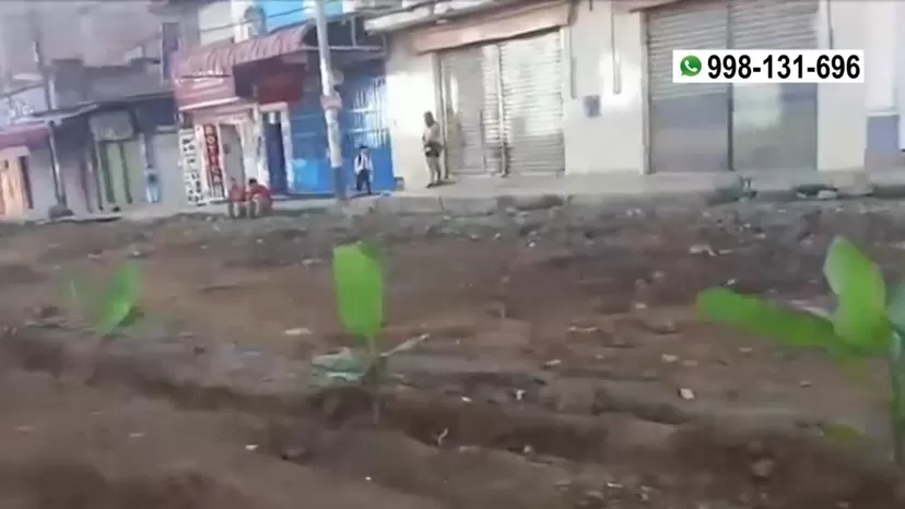 Satipo: Vecinos siembran plátanos y yucas en la calle por obras inconclusas