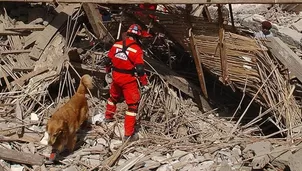 Este día sirve como un recordatorio de la necesidad de estar siempre preparados ante posibles desastres naturales. / Video: Canal N