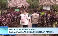 De la selva su encanto: Las maravillas de la región San Martín - Noticias de tarapoto