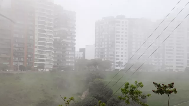 Distritos amanecieron con neblina Imagen: Andina