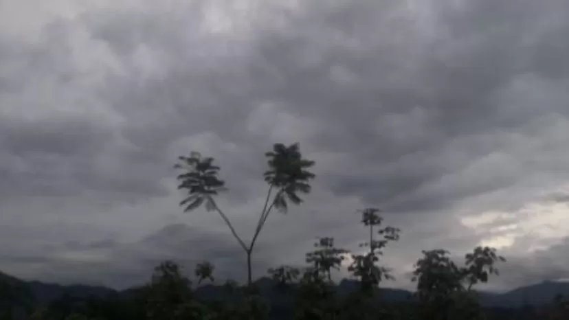 Senamhi: Selva soportará lluvias intensas desde 11 hasta el 13 de febrero