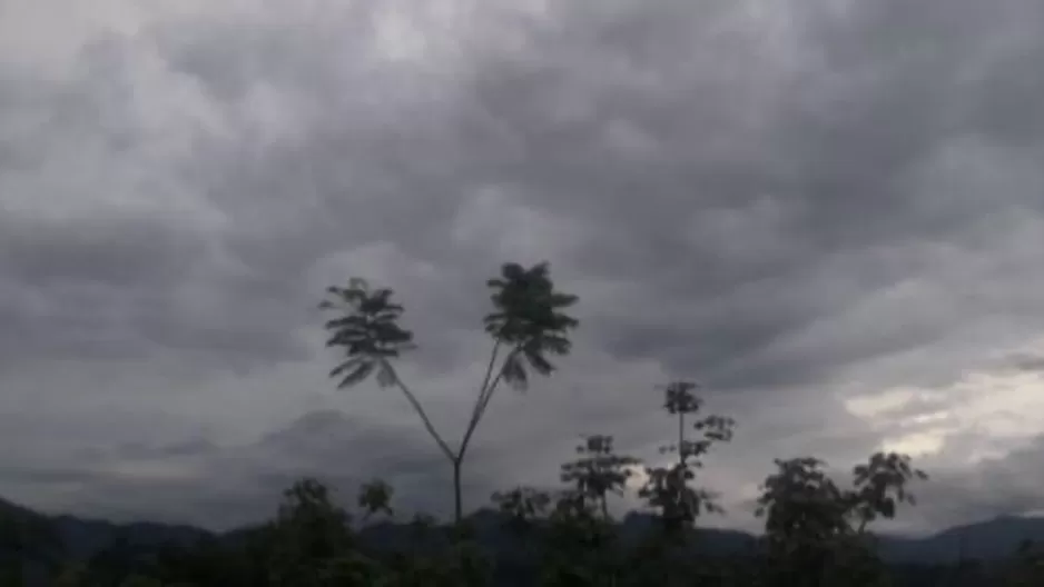 Lluvias en la selva. Foto: Andina