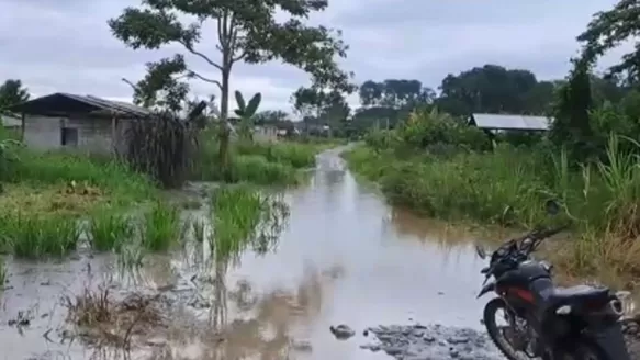 Lluvias en la selva. Foto: Andina