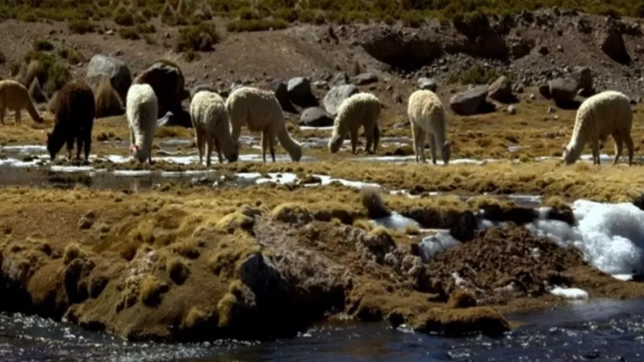 Temperaturas a la baja en la sierra. Foto: Andina