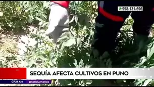 Foto y video: América Noticias