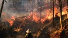 Serfor: ¿Cuántos incendios forestales hay activos a nivel nacional?