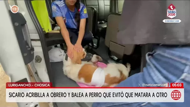 Sicarios asesinan a obrero en Lurigancho-Chosica. Foto: América Noticias