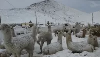 El pronóstico de la temperatura fue presentado por el Senamhi. Foto: Andina