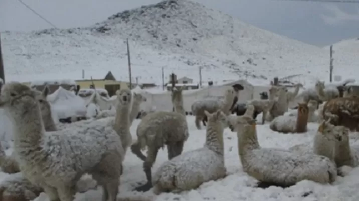 El pronóstico de la temperatura fue presentado por el Senamhi. Foto: Andina El pronóstico de la temperatura fue presentado por el Senamhi. Foto: Andina