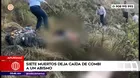 Siete muertos dejó caída de combi a abismo en Apurímac