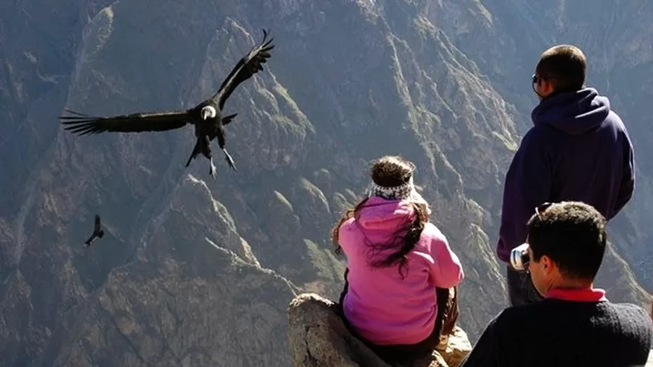 Gran parte de la economía del Colca depende de los ingresos por el Turismo. Foto: Autocolca 