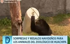 Sorpresas y regalos para los animales del zoológico de Huachipa - Noticias de zoologico