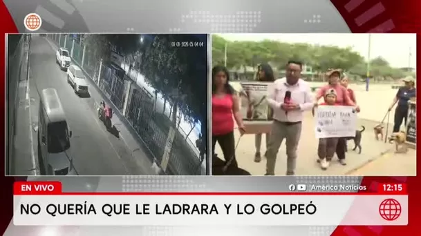 Atacan a perra Negrita con palo en San Martín de Porres/ América Noticias