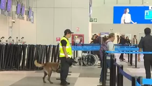SUNAT despliega controles con canes en nuevo aeropuerto Jorge Chávez. Foto y video: Canal N
