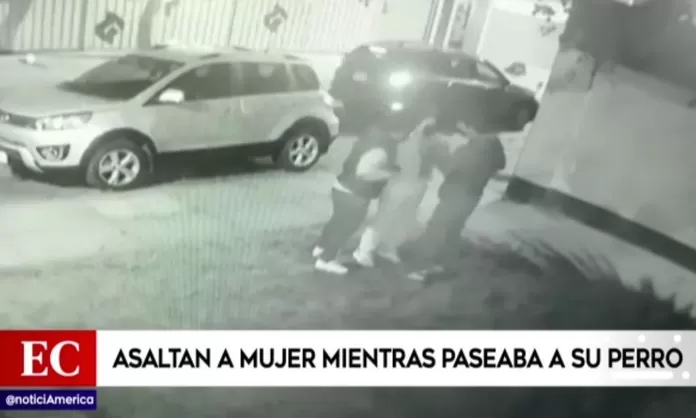 Surco: Asaltan a mujer mientras paseaba a su perro