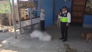 Foto y video: América Noticias