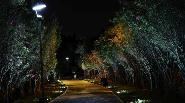 Foto: Municipalidad de Surco