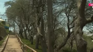 Vecinos de Surco denuncian posibles modificaciones en el parque ecológico Loma Amarilla. / Video: Canal N