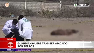 Guardián murió tras ser atacado por perros en Tacna. Foto y video: América Noticias